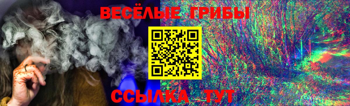 Псилоцибиновые грибы Psilocybe  Вход с VPN  Реутов 